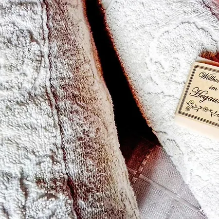 In With Wifi ゴットマーディンゲン