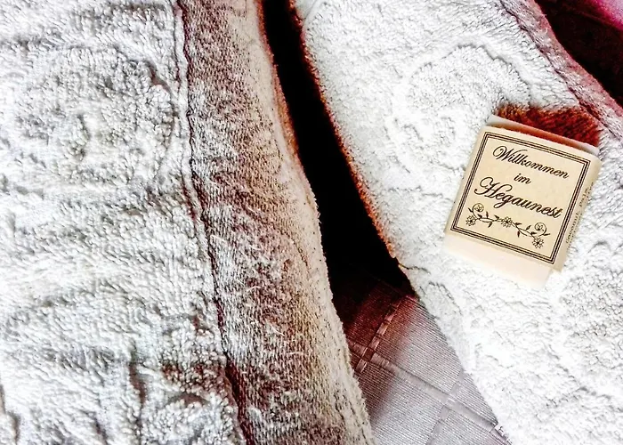 In With Wifi Gottmadingen